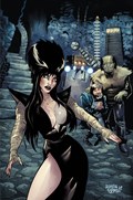 ELVIRA IN MONSTERLAND #2-RI-I 