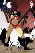 VAMPIRELLA VERSUS THE SUPERPOWERS #4-RI-D 