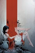 VAMPIRELLA VERSUS THE SUPERPOWERS #5-RI-N 