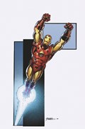 INVINCIBLE IRON MAN #10-RI-B 