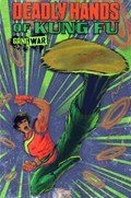 DEADLY HANDS OF KUNG FU: GANG WAR #1B 