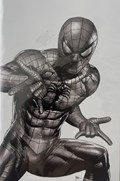 ULTIMATE SPIDER-MAN #17G 