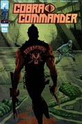 COBRA COMMANDER #2-RI-C 