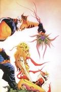 THUNDERCATS #19-RI-E 