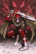 MIGHTY MORPHIN POWER RANGERS: THE RETURN #2-RI-B 