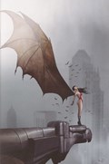 VAMPIRELLA #671-RI-D 