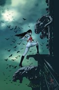 VAMPIRELLA #672-RI-D 