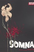 SOMNA: A BEDTIME STORY #3-RI 