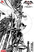 BATMAN / CATWOMAN: THE GOTHAM WAR BATTLE LINES #1-RI-B 
