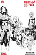 BIRDS OF PREY #1-RI-B 