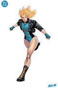 BIRDS OF PREY #14E 