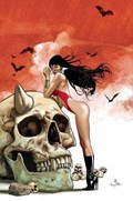 VAMPIRELLA: DEAD FLOWERS #3-RI-G 