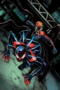 SPIDER-BOY #4-RI-B 