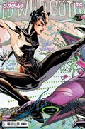 GOTHAM CITY SIRENS #3D 
