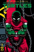 TEENAGE MUTANT NINJA TURTLES #1D 
