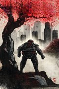 TEENAGE MUTANT NINJA TURTLES #1-TCON 