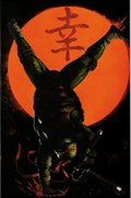 TEENAGE MUTANT NINJA TURTLES #1J 