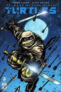 TEENAGE MUTANT NINJA TURTLES #3C 