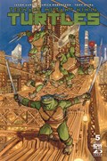 TEENAGE MUTANT NINJA TURTLES #5-RI-D 
