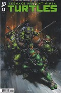TEENAGE MUTANT NINJA TURTLES #13D 