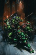 TEENAGE MUTANT NINJA TURTLES #13-RI-B 