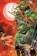 TEENAGE MUTANT NINJA TURTLES #12-RI-C 