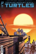 TEENAGE MUTANT NINJA TURTLES #14-RI-B 