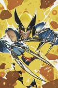 WOLVERINE #3-RI-B 