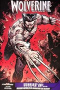 WOLVERINE #20E 