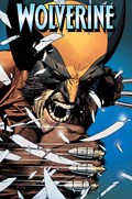 WOLVERINE #22D 