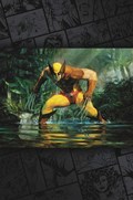 WOLVERINE #22-RI-B 
