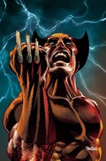 WOLVERINE #22-RI-C 