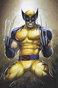 WOLVERINE #14-RI-B 
