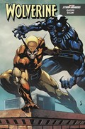 WOLVERINE #15C 