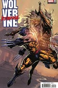 WOLVERINE: REVENGE #2C 