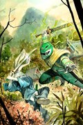MIGHTY MORPHIN POWER RANGERS / USAGI YOJIMBO #1-NYCC-B 