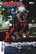 DEADPOOL #5B 