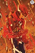 ABSOLUTE FLASH #5-RI 