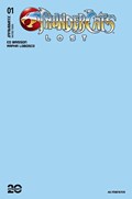THUNDERCATS LOST #1-RI-I 