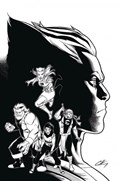 THUNDERCATS LOST #2-RI-E 
