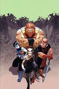 THUNDERCATS LOST #3-RI-D 