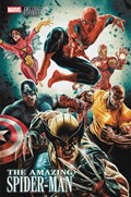 AMAZING SPIDER-MAN #29D 