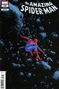 AMAZING SPIDER-MAN #19-RI 