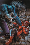 AMAZING SPIDER-MAN #26-RI-C 