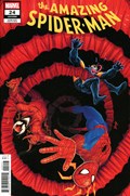 AMAZING SPIDER-MAN #24-RI 