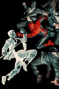 AMAZING SPIDER-MAN #28-RI-C 