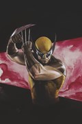 WOLVERINE AND KITTY PRYDE #1-RI-B 