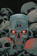 THE TERMINATOR #1H 
