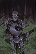 THE TERMINATOR #1-RI-C 