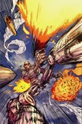 THE TERMINATOR #8-RI-D 